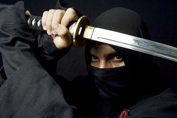 ninja 2