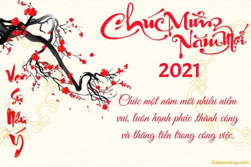 CMNM 2021